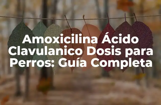 Amoxicilina Ácido Clavulanico Dosis para Perros: Guía Completa