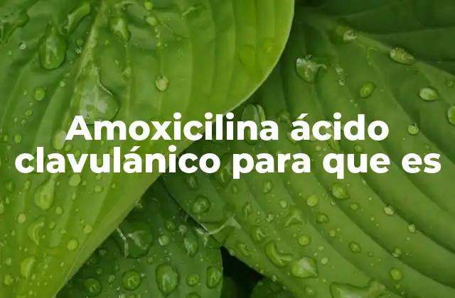 Amoxicilina Ácido Clavulánico para que es