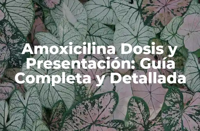 Formas de Presentación de Amoxicilina