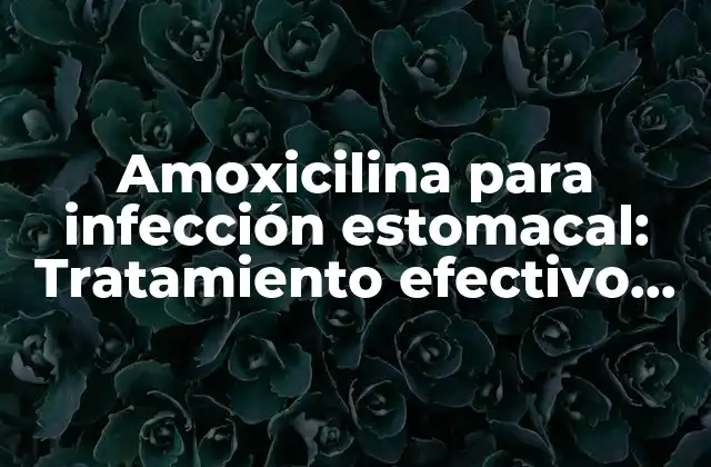 Amoxicilina para Infección Estomacal: Tratamiento Efectivo para la Salud Gastrointestinal