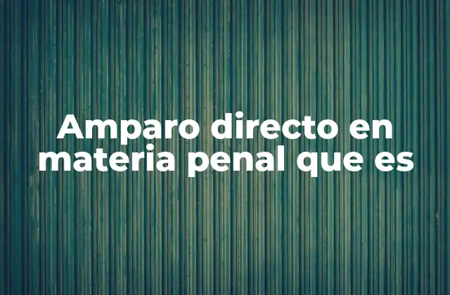 Amparo Directo en Materia Penal que es