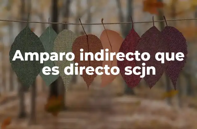 Amparo Indirecto que es Directo Scjn
