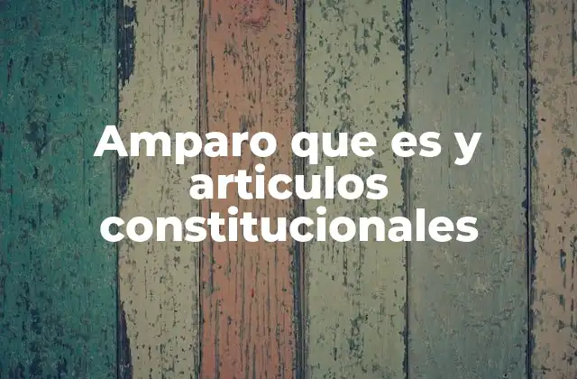Amparo que es y Articulos Constitucionales