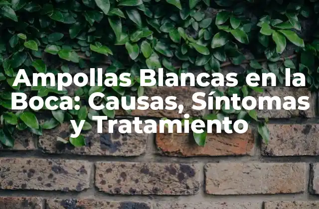 Ampollas Blancas en la Boca: Causas, Síntomas y Tratamiento