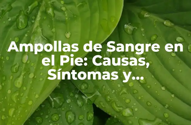 Ampollas de Sangre en el Pie: Causas, Síntomas y Tratamiento