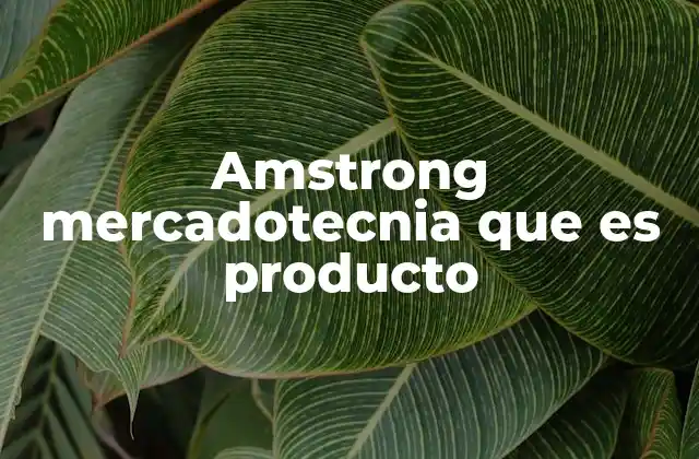 Amstrong Mercadotecnia que es Producto