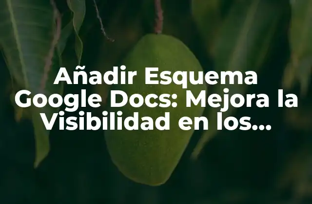 Añadir Esquema Google Docs: Mejora la Visibilidad en los Resultados de Búsqueda