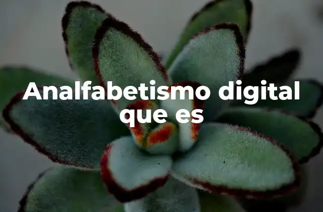 Analfabetismo Digital que es