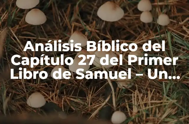 Análisis Bíblico Del Capítulo 27 Del Primer Libro de Samuel – un Estudio Detallado