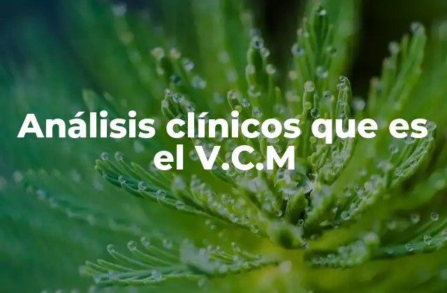 Análisis Clínicos que es el V.c.m