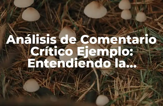 Análisis de Comentario Crítico Ejemplo: Entendiendo la Importancia de la Crítica Constructiva