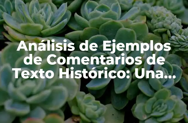 Análisis de Ejemplos de Comentarios de Texto Histórico: una Visión Detallada