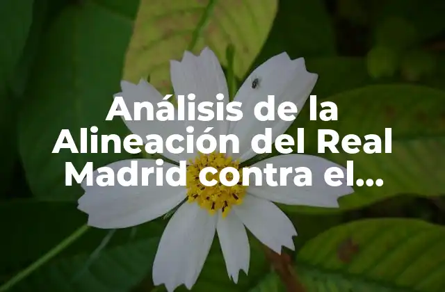 Análisis de la Alineación Del Real Madrid contra el Osasuna en la Liga Española