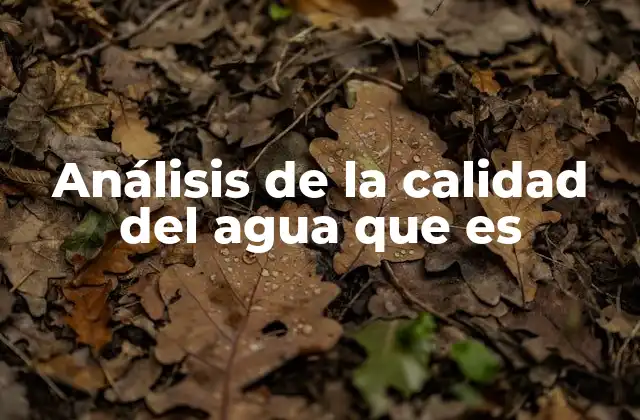 Análisis de la Calidad Del Agua que es