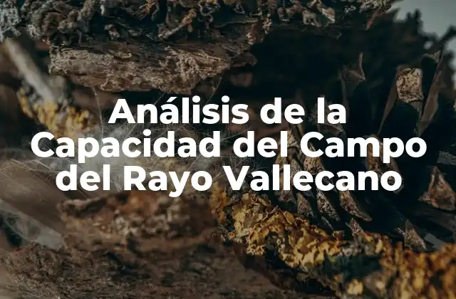 Análisis de la Capacidad Del Campo Del Rayo Vallecano