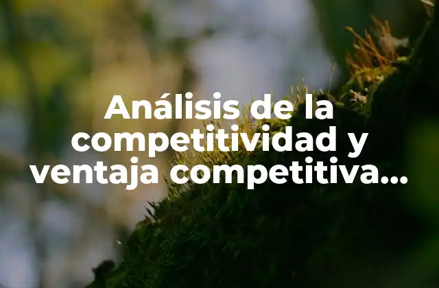 Análisis de la Competitividad y Ventaja Competitiva que es