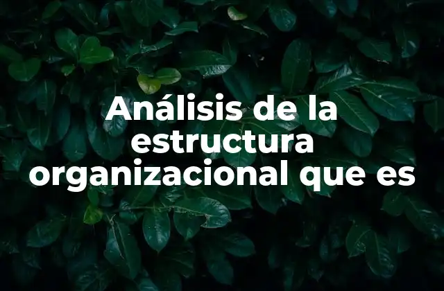 Análisis de la Estructura Organizacional que es
