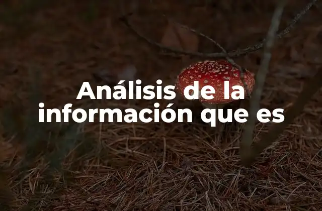 Análisis de la Información que es