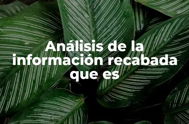 Análisis de la Información Recabada que es