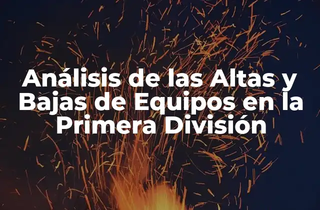 Análisis de las Altas y Bajas de Equipos en la Primera División