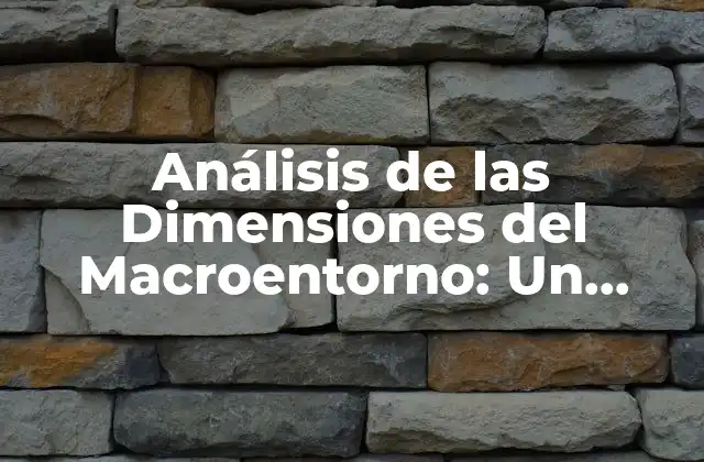Análisis de las Dimensiones Del Macroentorno: un Enfoque Integral