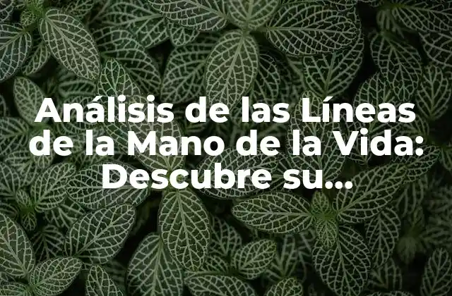 Análisis de las Líneas de la Mano de la Vida: Descubre Su Significado