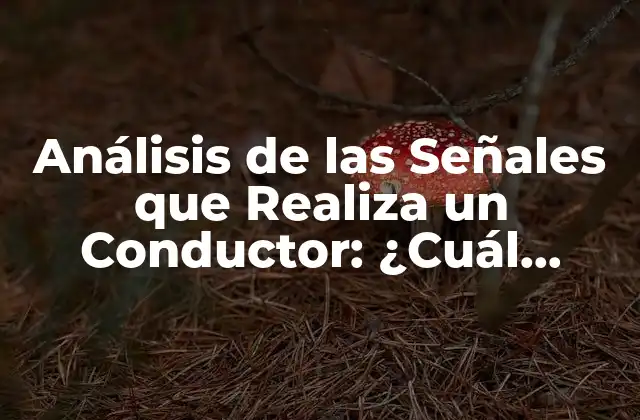 Análisis de las Señales que Realiza un Conductor: ¿cuál Prevalece?