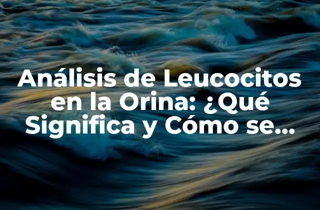 Análisis de Leucocitos en la Orina: ¿qué Significa y Cómo Se Diagnostica?