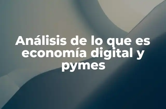 Análisis de Lo que es Economía Digital y Pymes