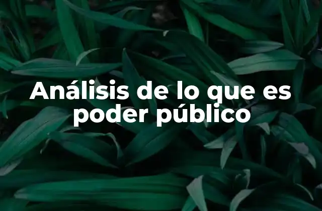 Análisis de Lo que es Poder Público