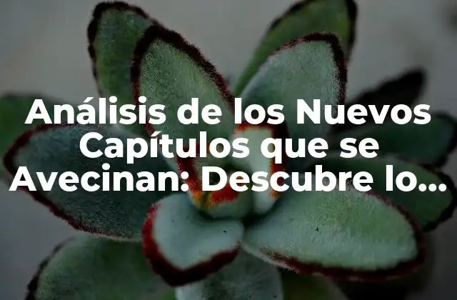 Análisis de los Nuevos Capítulos que Se Avecinan: Descubre Lo que Viene