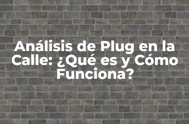 Análisis de Plug en la Calle: ¿qué es y Cómo Funciona?