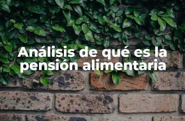 Análisis de Qué es la Pensión Alimentaria 2 El papel de la pensión alimentaria en la protección familiar
