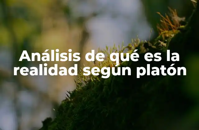 La dualidad entre el mundo sensible e inteligible