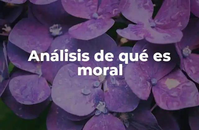 Análisis de Qué es Moral