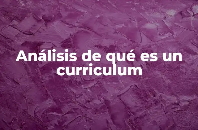 Análisis de Qué es un Curriculum