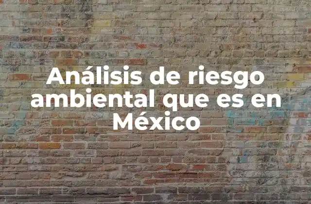 Análisis de Riesgo Ambiental que es en México
