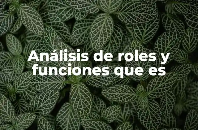 Análisis de Roles y Funciones que es