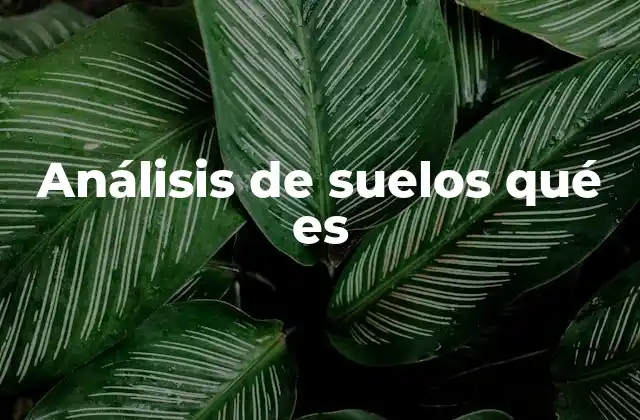 Importancia del análisis en la gestión del terreno