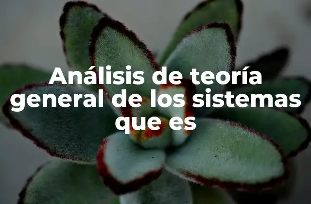 Análisis de Teoría General de los Sistemas que es