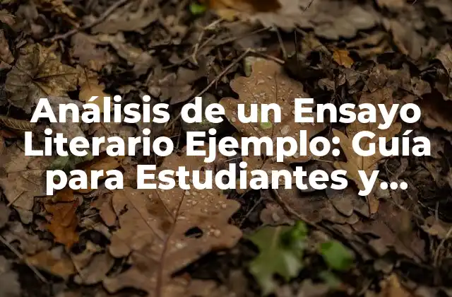 Análisis de un Ensayo Literario Ejemplo: Guía para Estudiantes y Escritores