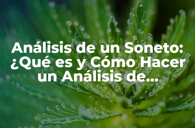 Análisis de un Soneto: ¿qué es y Cómo Hacer un Análisis de Violante?