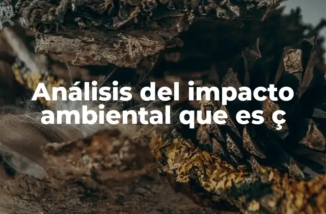 Análisis Del Impacto Ambiental que es Ç