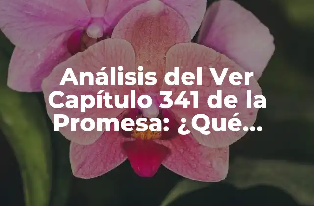 Antecedentes del Capítulo 341