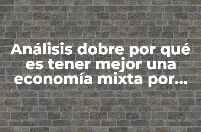 Análisis Dobre por Qué es Tener Mejor una Economía Mixta por Krugman
