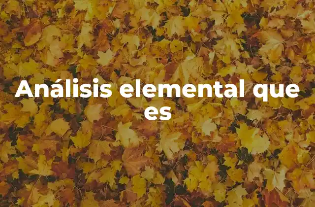 Análisis Elemental que es