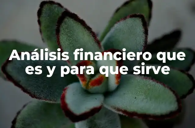 Cómo el análisis financiero influye en la toma de decisiones