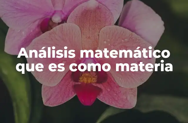 Análisis Matemático que es como Materia 2 Fundamentos del análisis matemático