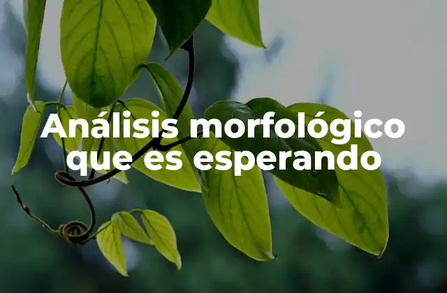 Análisis Morfológico que es Esperando