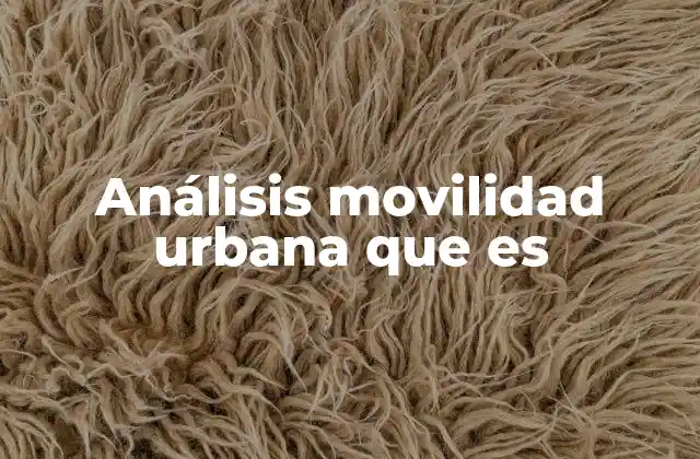 Análisis Movilidad Urbana que es